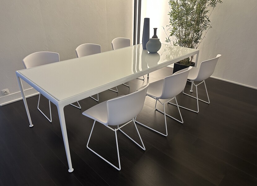 Knoll-outdoor tafel Richard Schultz 1966 met 6 Bertoia plastic chairs outdoor - 40%
