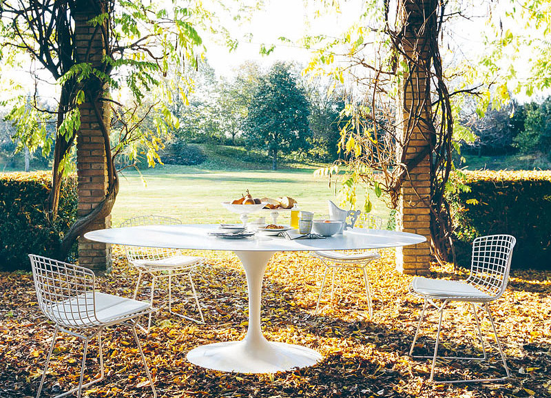 Knoll International
